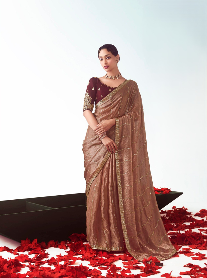 Bronze Fancy Saree With Maroon Blouse