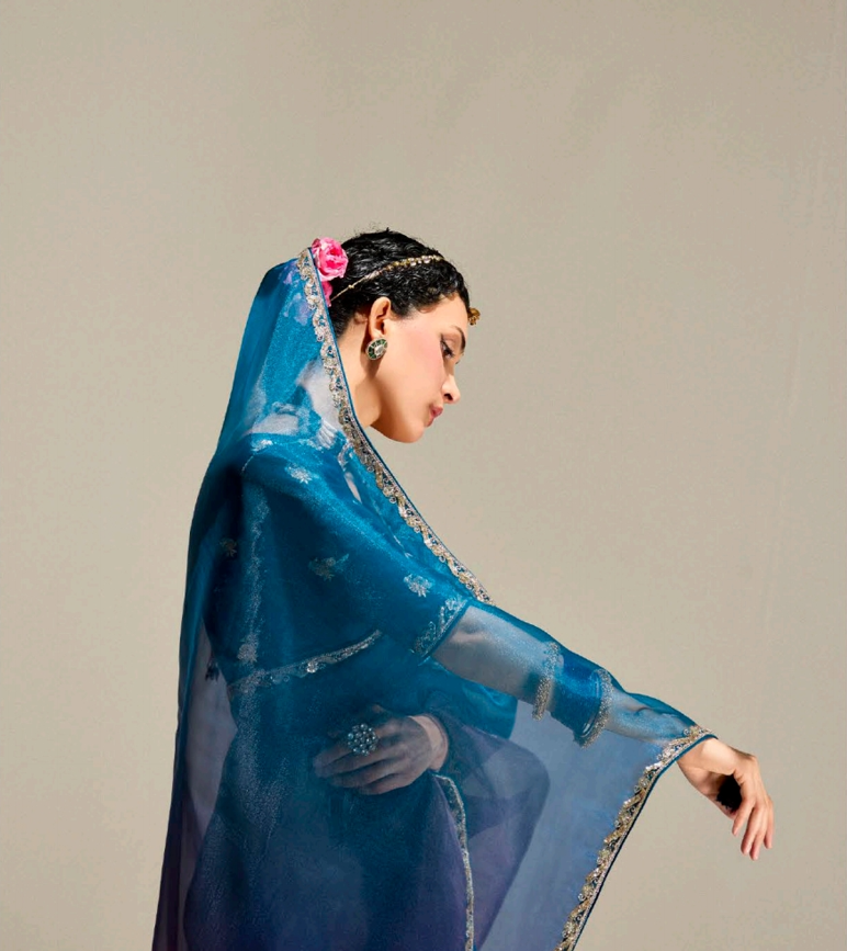 Navy Blue Purple Organza Tissue Saree